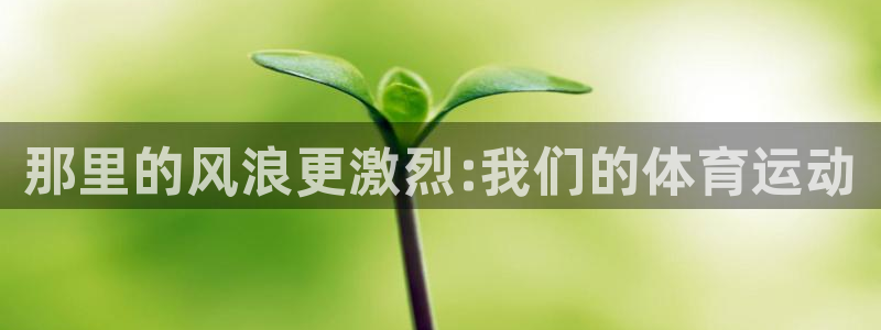 oety欧亿体育官网下载招商电话地址:那里的风浪更激烈:我们