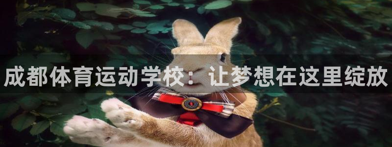 oety欧亿体育官网下载平台是正规平台吗:成都体育运动学校: