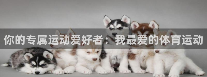 欧亿体育官方正版app娱乐首页官网下载:你的专属运动爱好者:
