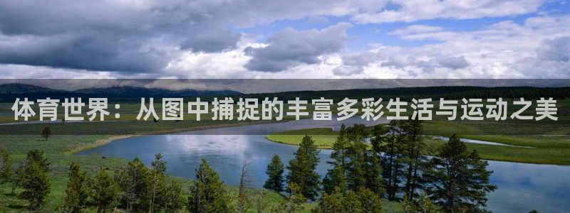 oety欧亿体育官网下载:体育世界:从图中捕捉的丰富多彩生活